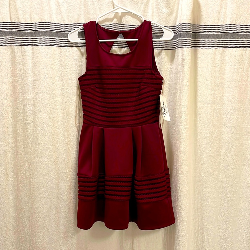 Burgundy Dress